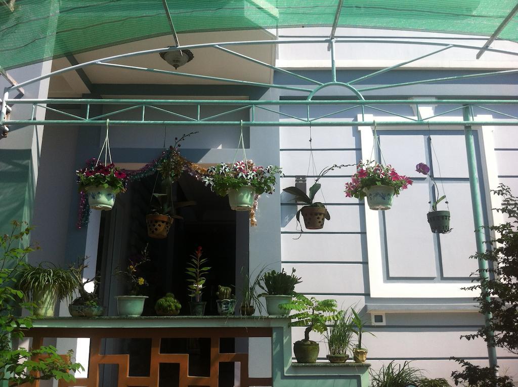 Areca Homestay Hoi An Bagian luar foto